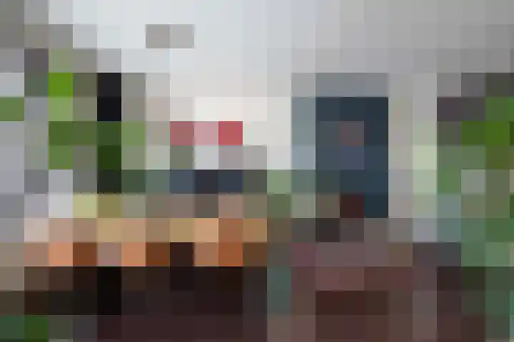 Stationsstraat 81 Apeldoorn thumbnail 6
