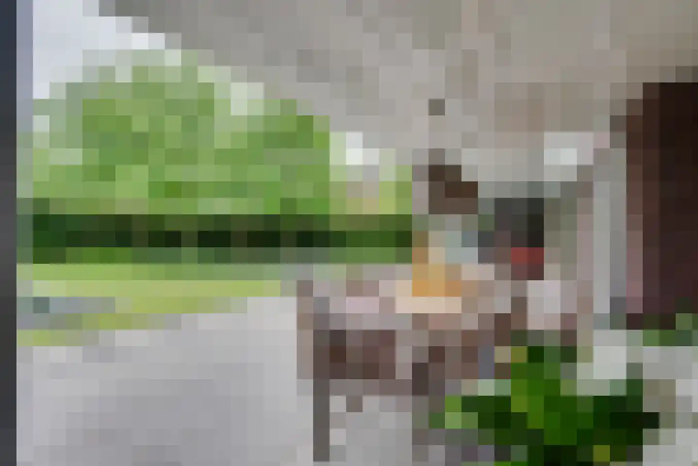 Stationsstraat 81 Veghel thumbnail 38