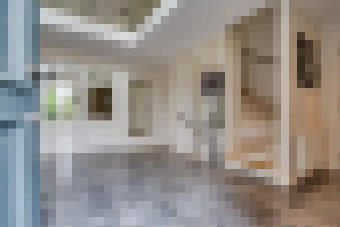 Stationsstraat 81 Veghel thumbnail 5