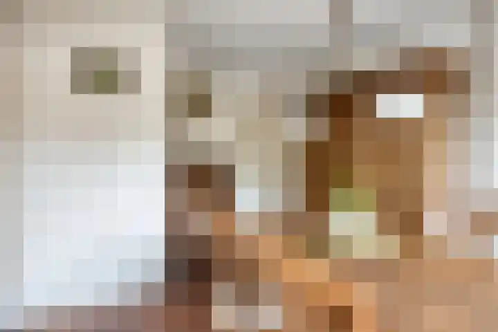 Stationsstraat 86 Drunen thumbnail 12
