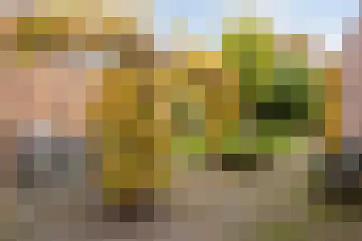 Stationsstraat 86 Drunen thumbnail 28