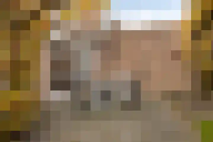 Stationsstraat 86 Drunen thumbnail 29