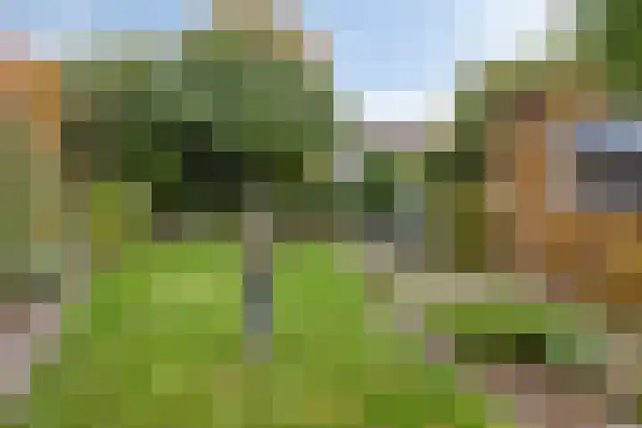 Stationsstraat 86 Drunen thumbnail 4