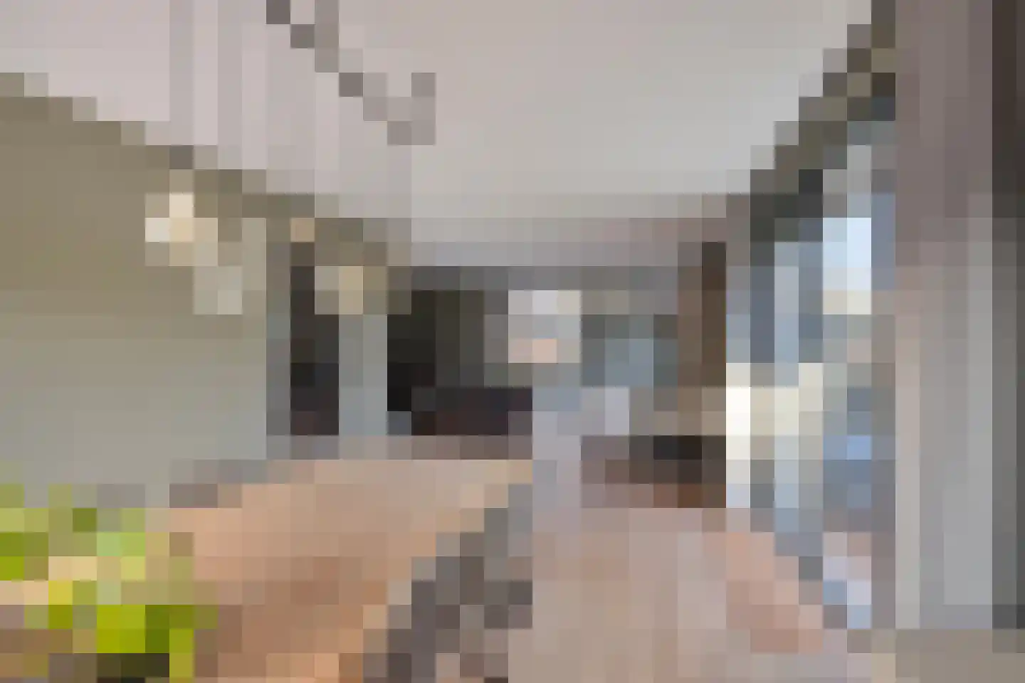 Stationsstraat 86 Vaassen thumbnail 20