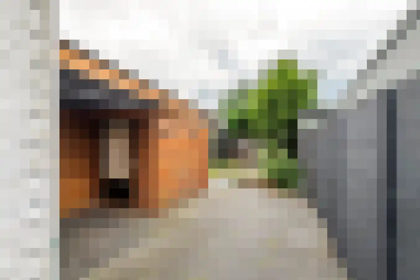 Stationsstraat 9 Veenendaal thumbnail 15