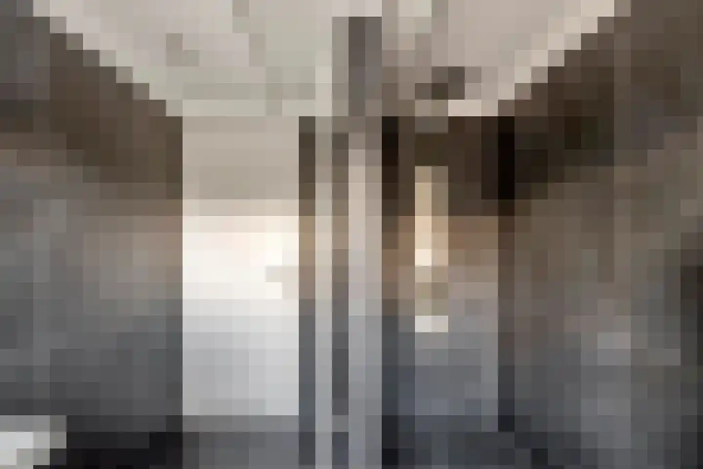 Stationsstraat 9 Veenendaal thumbnail 28