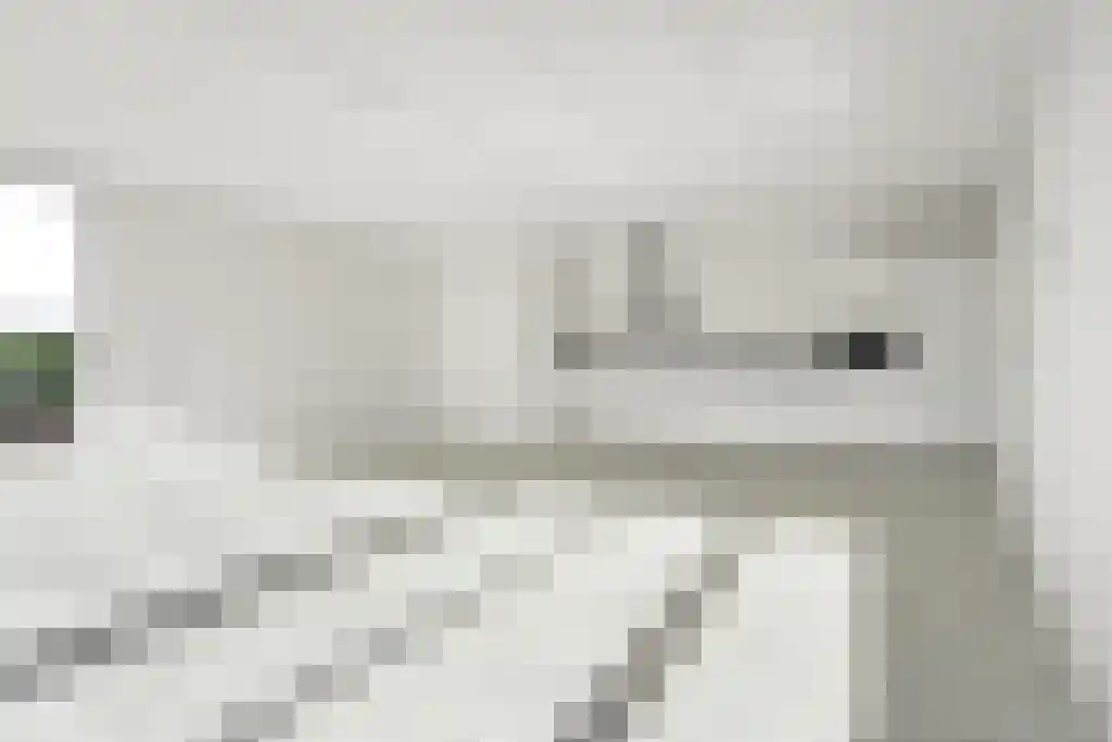 Stationsstraat 90 Rhoon thumbnail 6