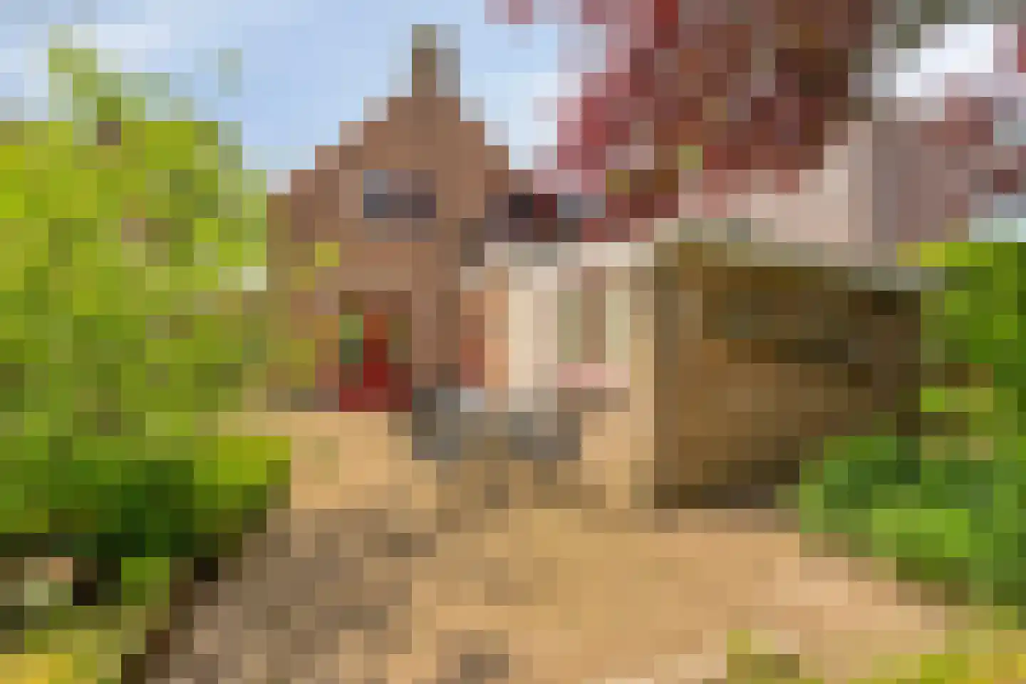 Stationsstraat 92 Etten-Leur thumbnail 27