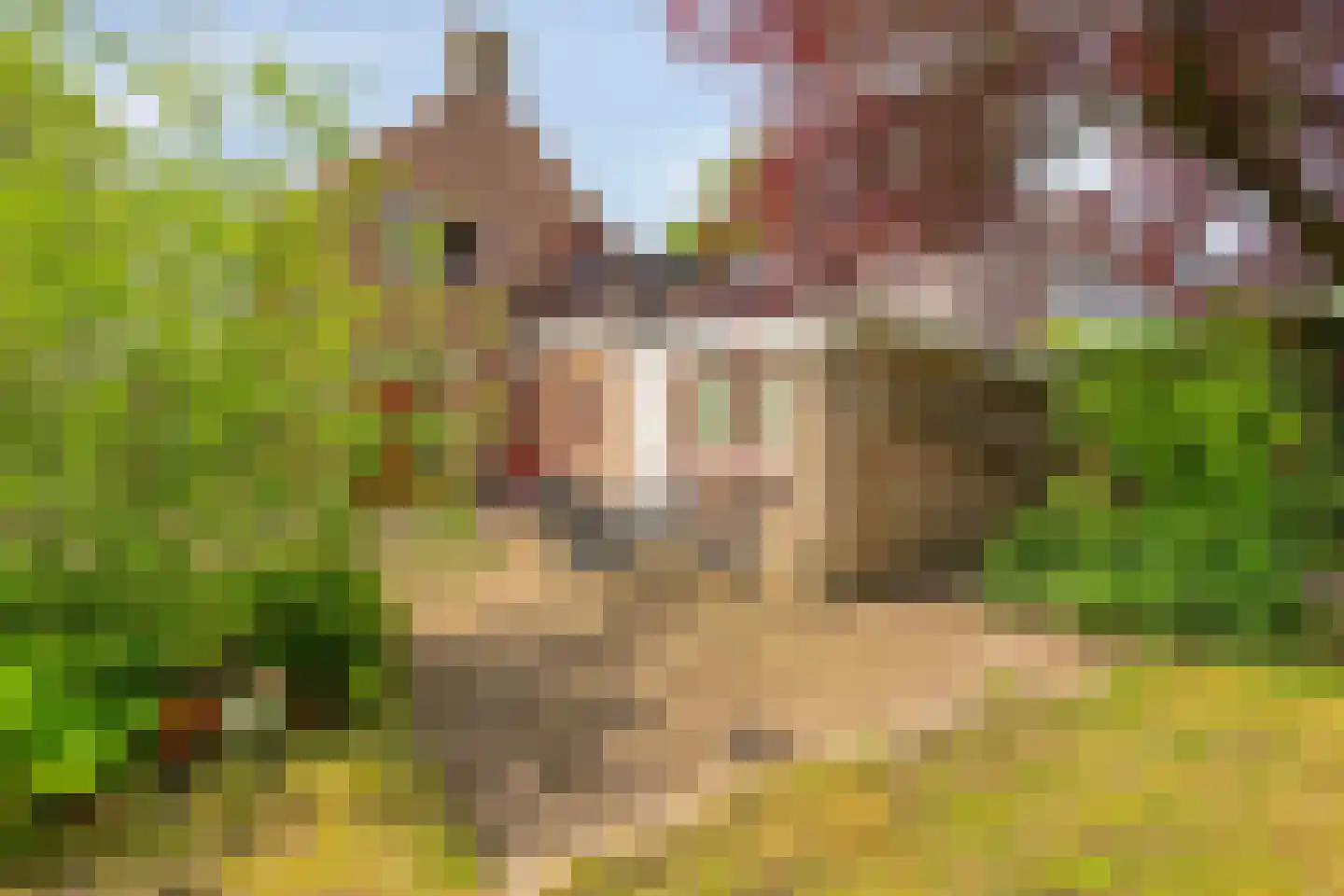 Stationsstraat 92 Etten-Leur thumbnail 4