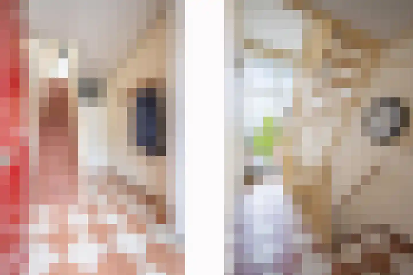 Stationsstraat 93 Susteren thumbnail 6
