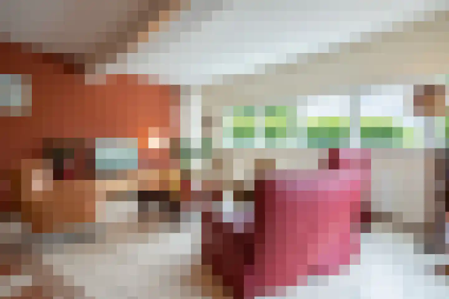 Stationsstraat 93 Susteren thumbnail 9