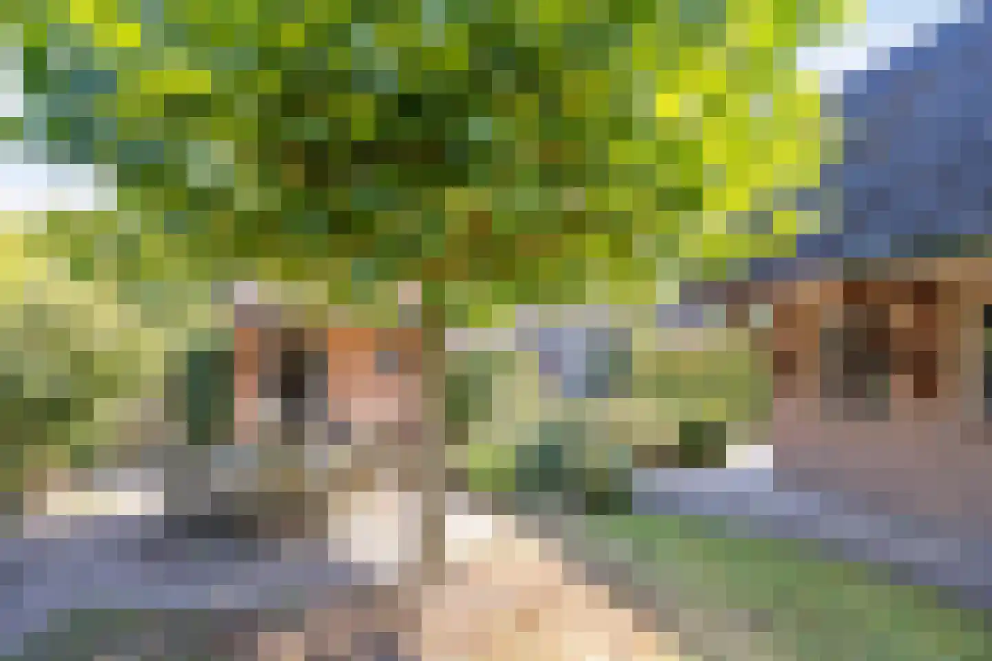 Stationsstraat 93 Vaassen thumbnail 23