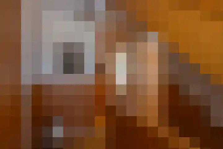 Stationstraat 14 Simpelveld thumbnail 12