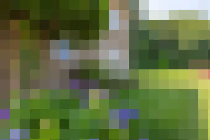 Stationstraat 14 Simpelveld thumbnail 26