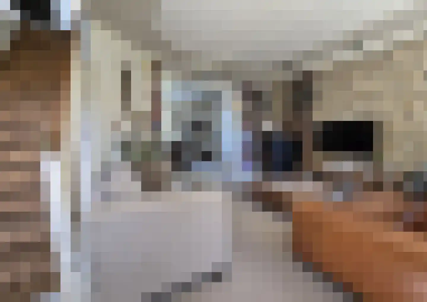 Stationstraat 17 Simpelveld thumbnail 15
