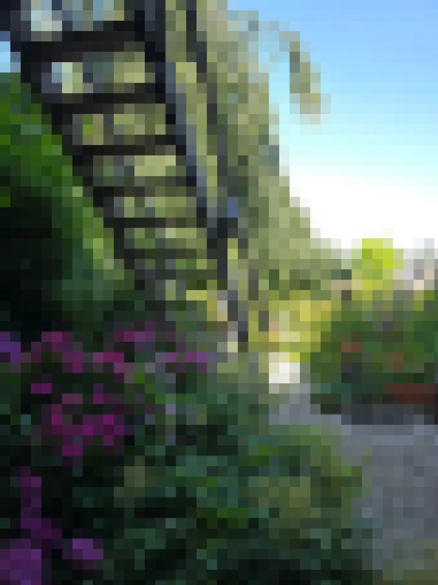 Stationstraat 17 Simpelveld thumbnail 21