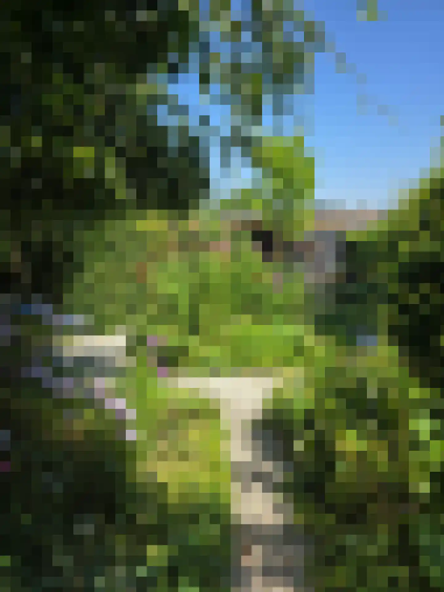 Stationstraat 17 Simpelveld thumbnail 32
