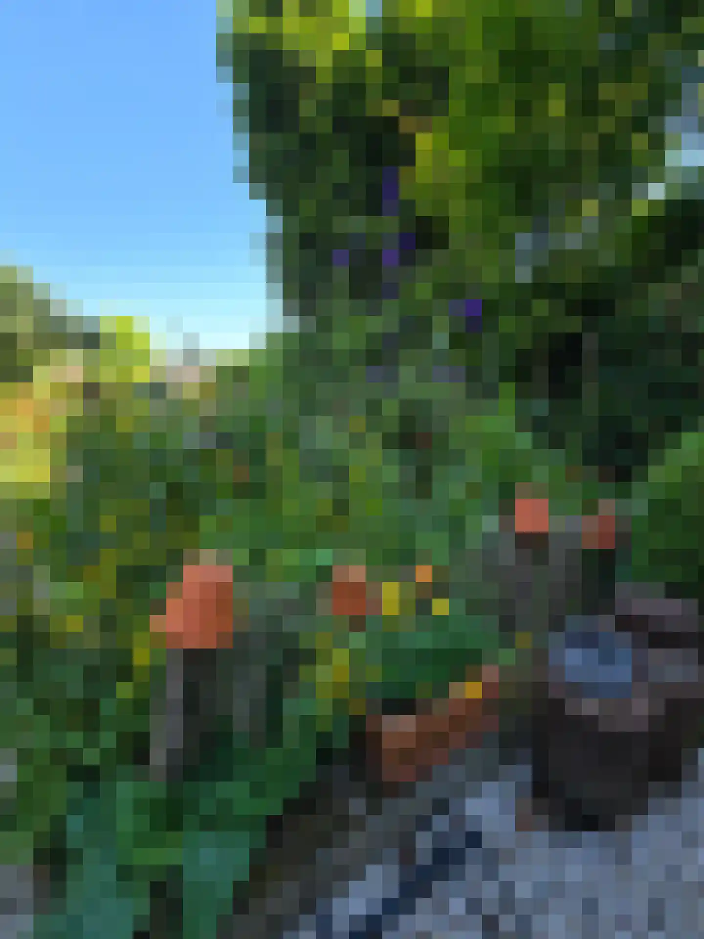 Stationstraat 17 Simpelveld thumbnail 33