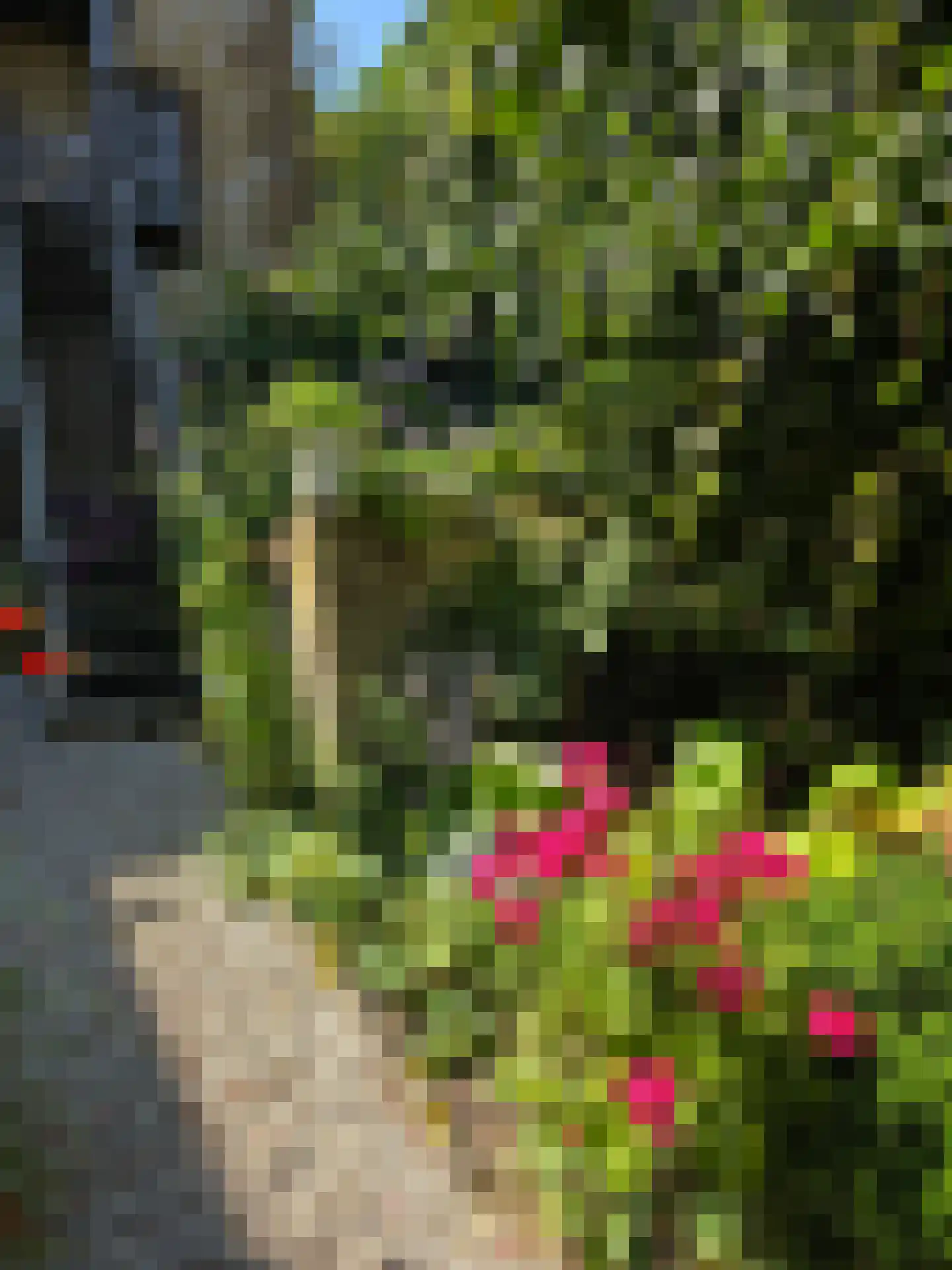 Stationstraat 17 Simpelveld thumbnail 34