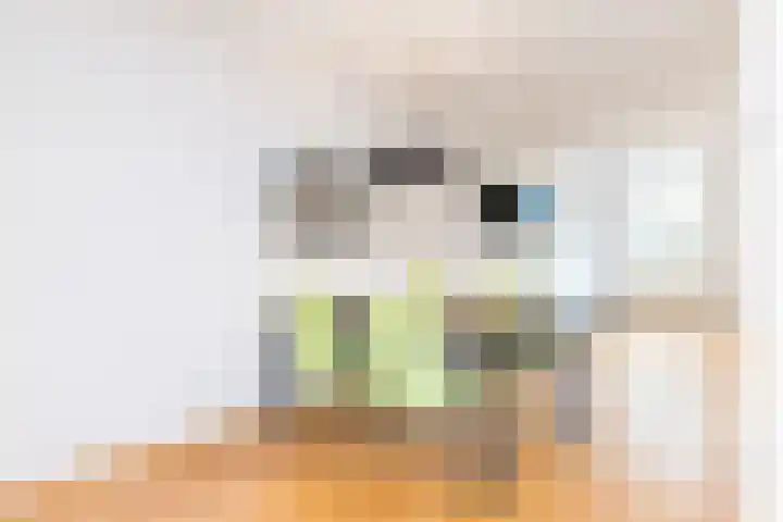 Stationstraat 176 Nuth thumbnail 11