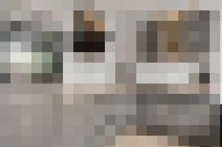 Stationstraat 18 Baexem thumbnail 10