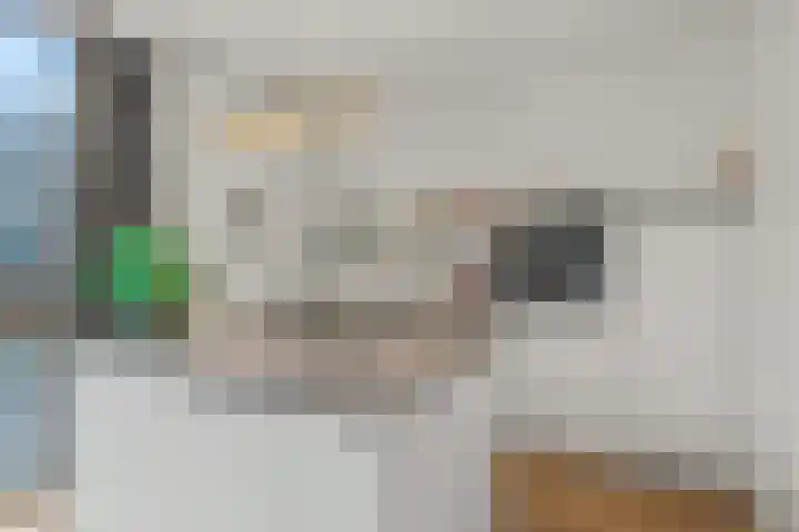 Stationstraat 18 f Baexem thumbnail 6