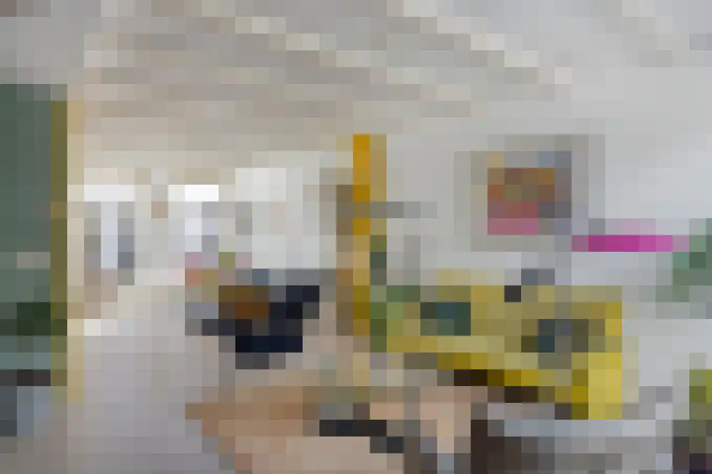 Stationstraat 19 Alkmaar thumbnail 13