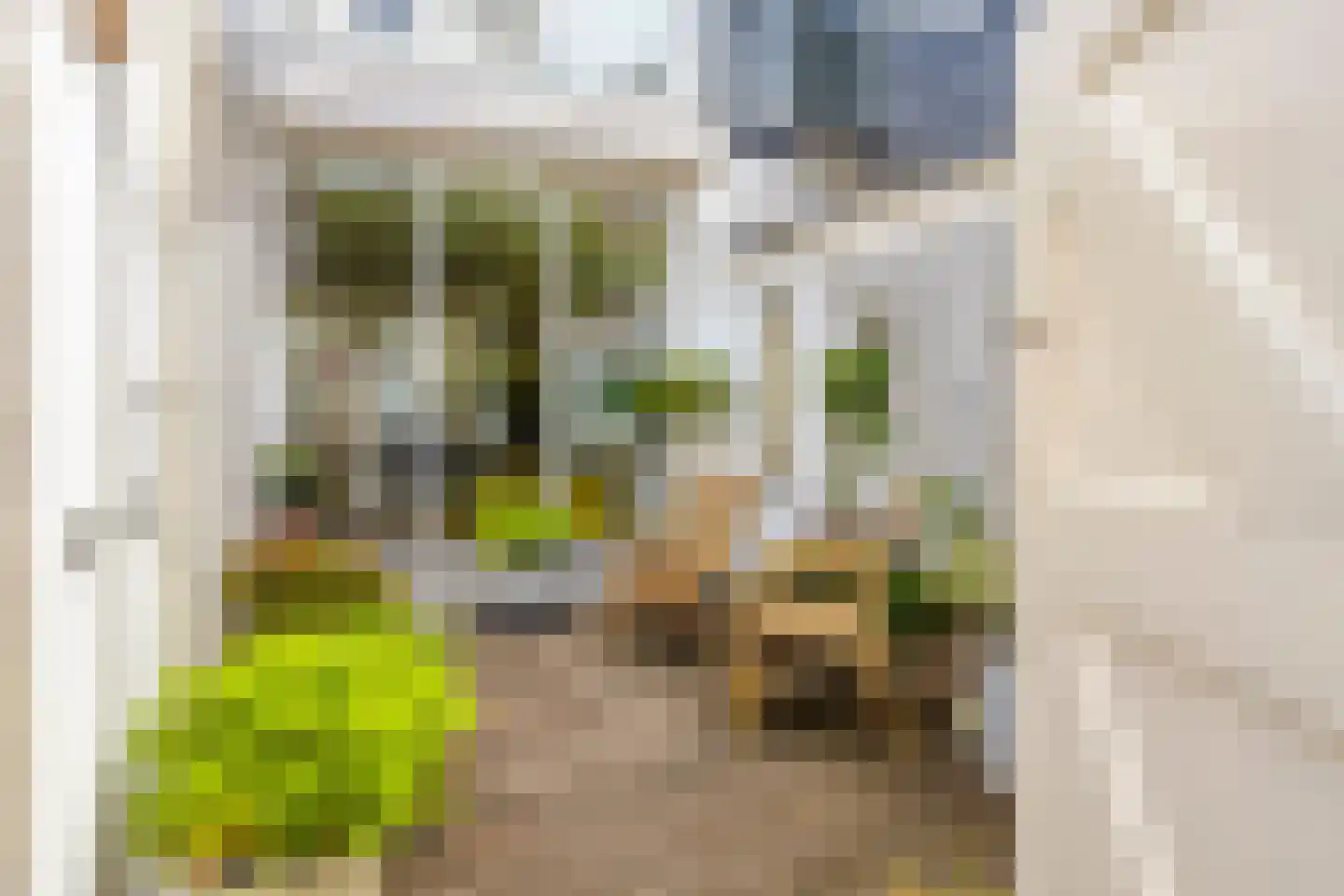 Stationstraat 19 Alkmaar thumbnail 25