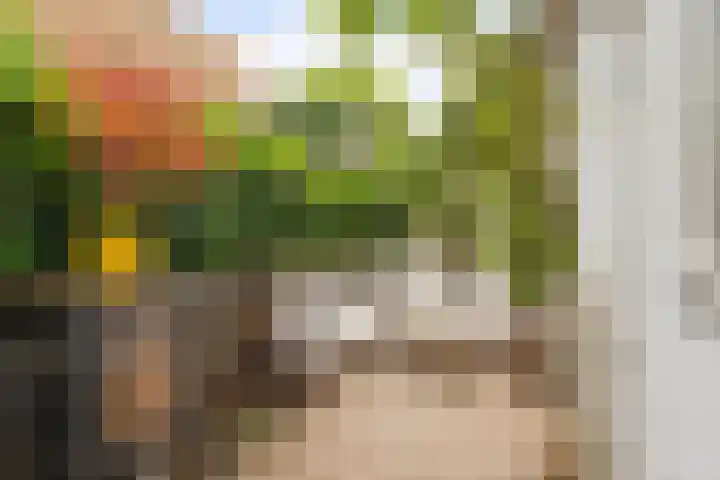 Stationstraat 20 Alkmaar thumbnail 4