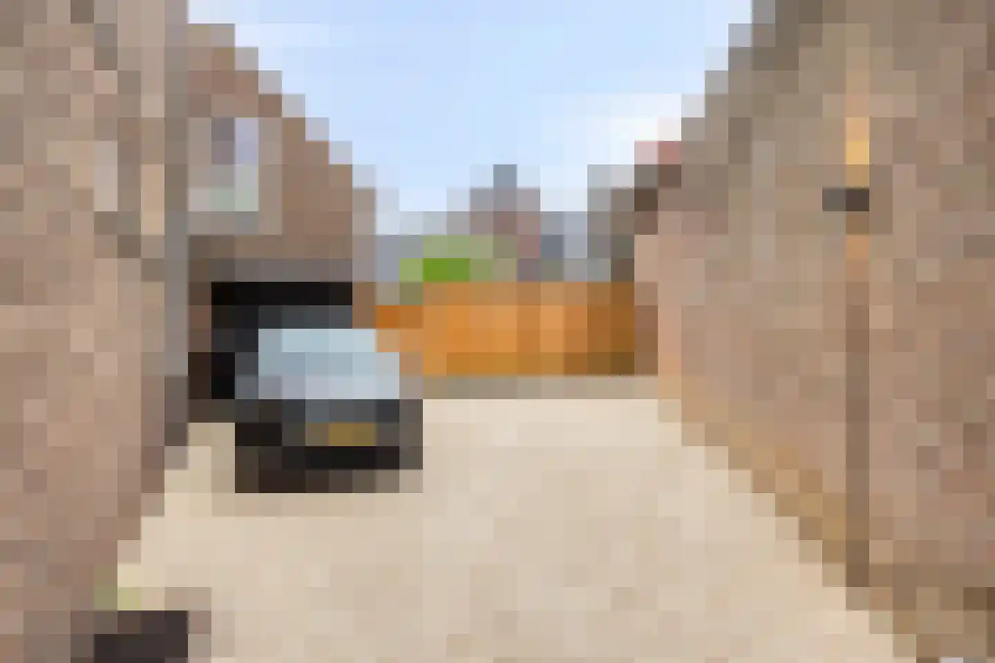 Stationstraat 262 Nuth thumbnail 55