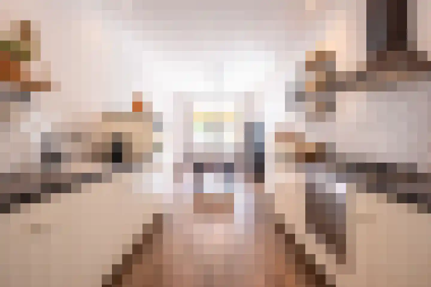 Stationstraat 3 Belfeld thumbnail 18