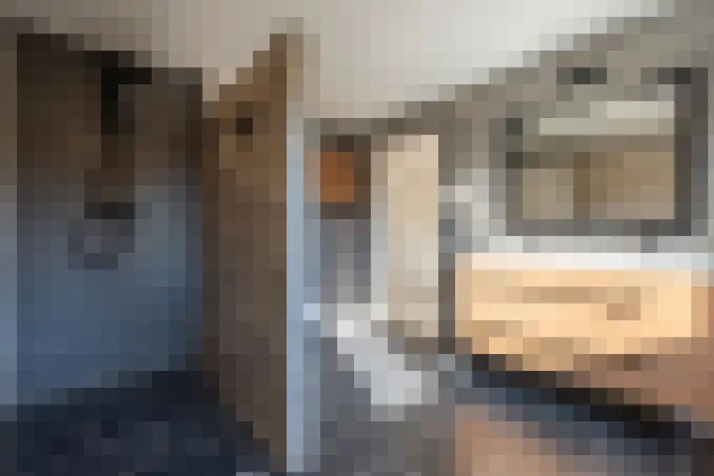 Stationstraat 3 Belfeld thumbnail 27