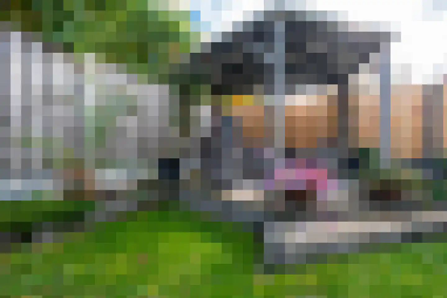 Stationstraat 3 Belfeld thumbnail 32
