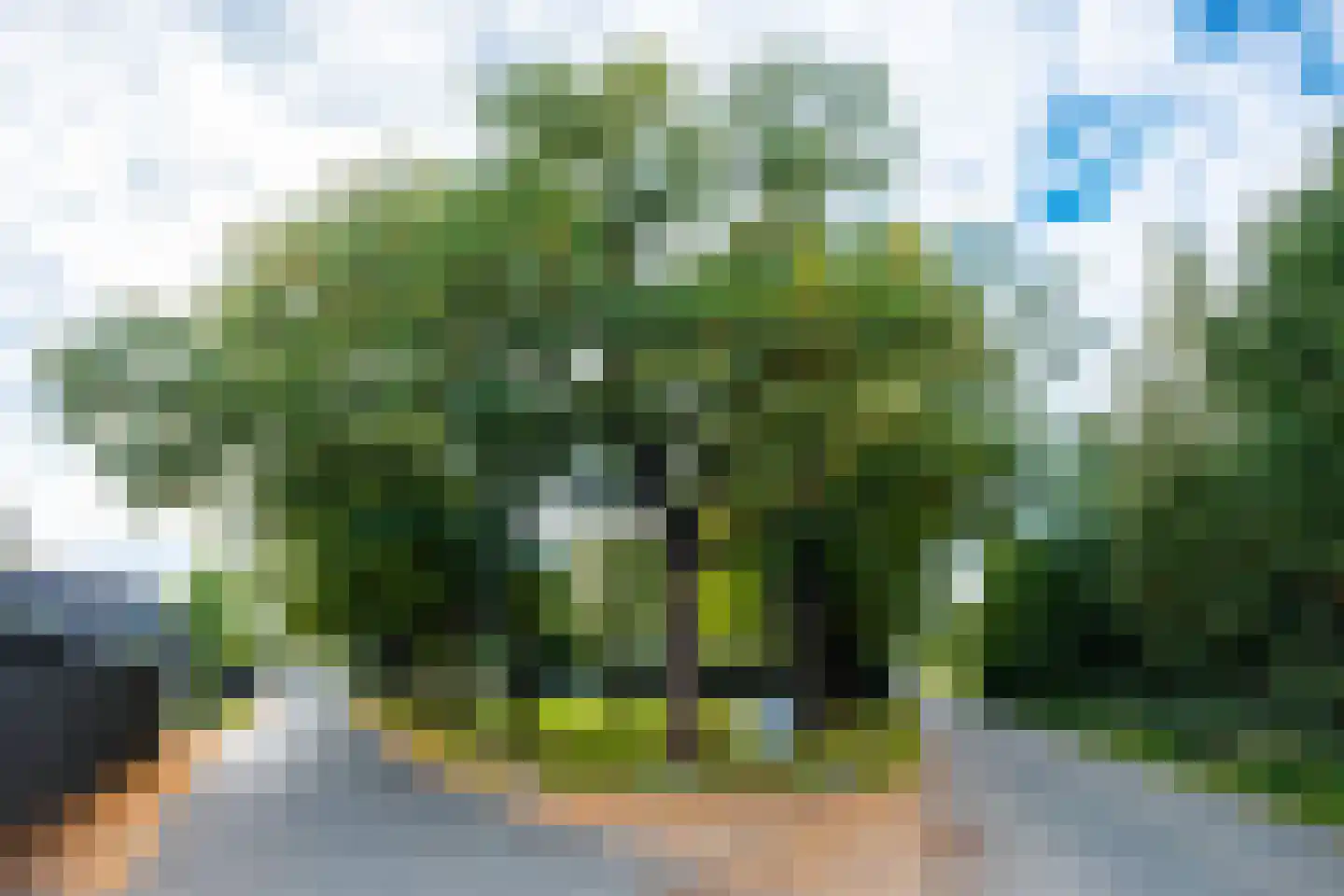 Stationstraat 3 Belfeld thumbnail 37