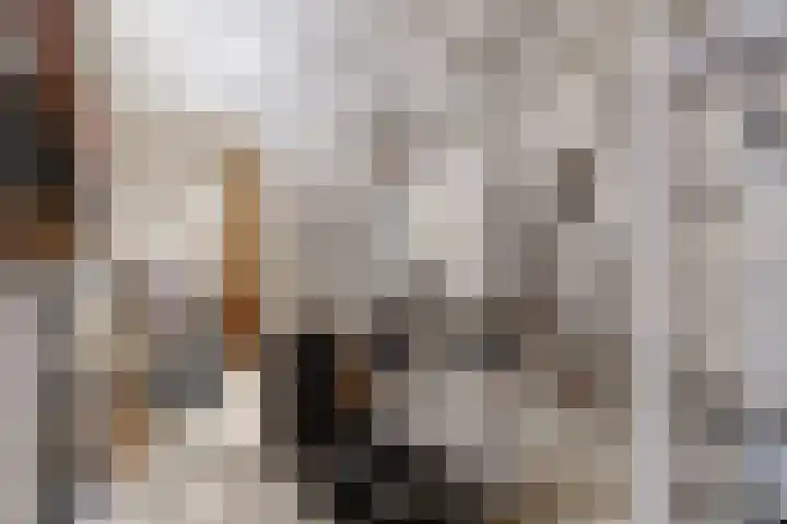 Stationstraat 39 Beek thumbnail 36