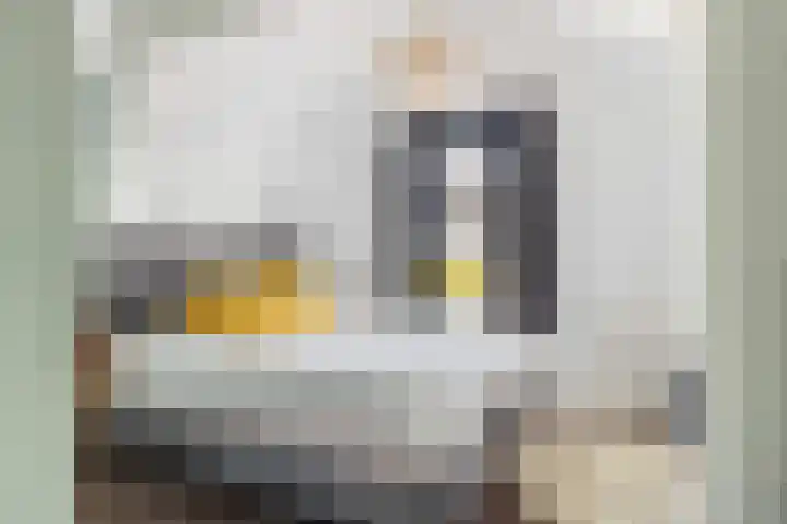 Stationstraat 54 Alkmaar thumbnail 16