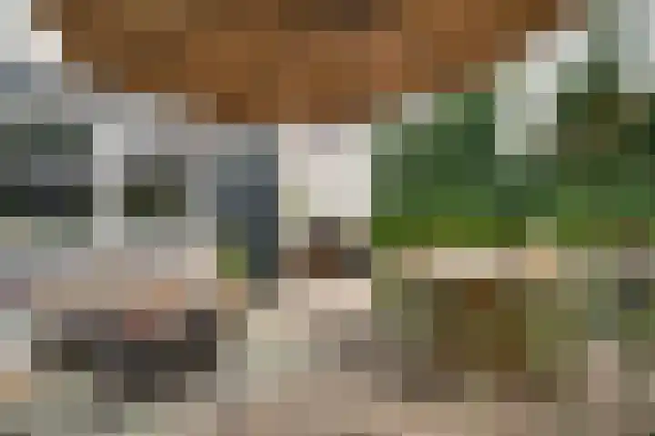 Stationstraat 56 Beek thumbnail 33