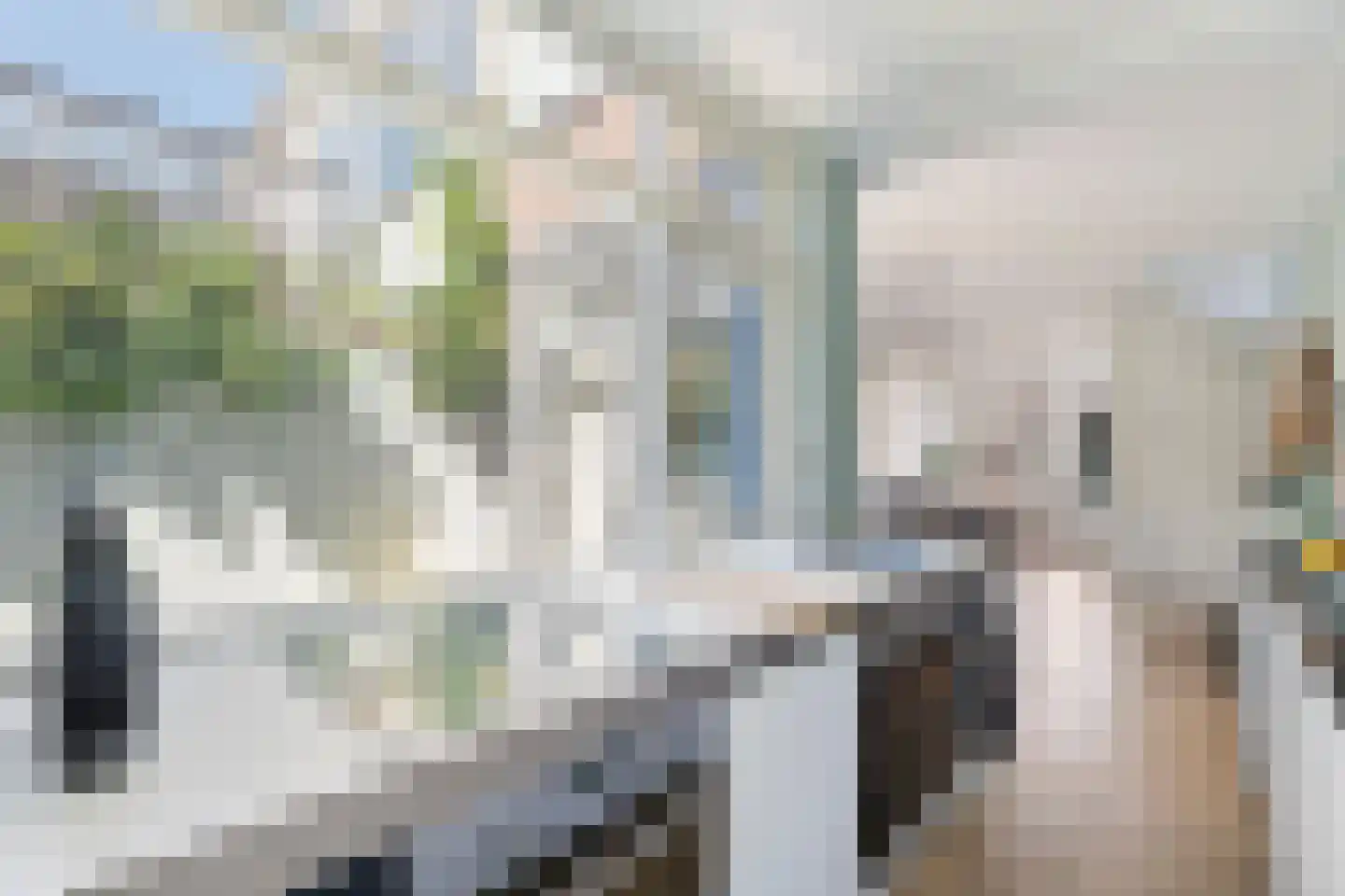 Stationstraat 63 Alkmaar thumbnail 17
