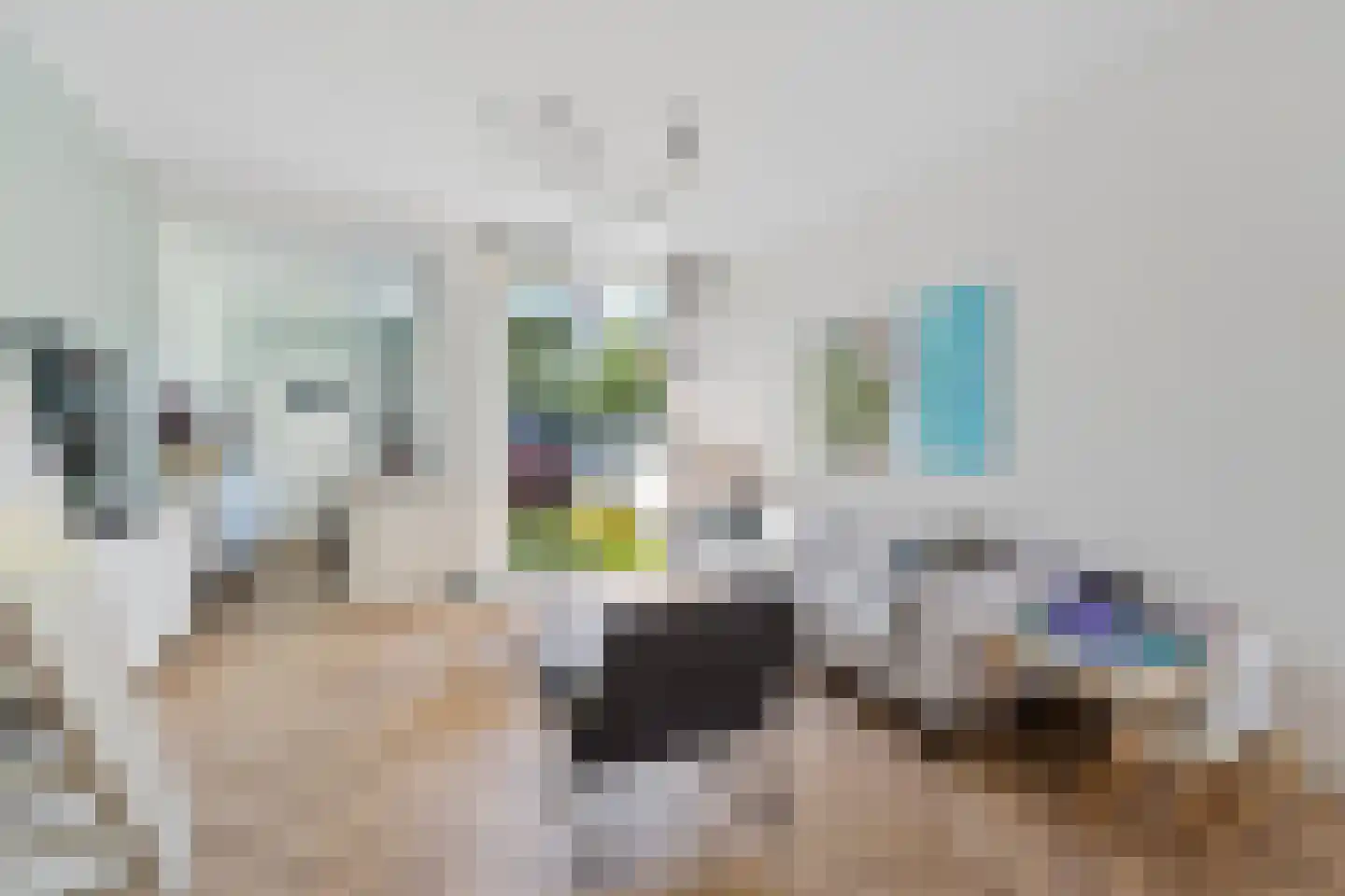 Stationstraat 63 Alkmaar thumbnail 7