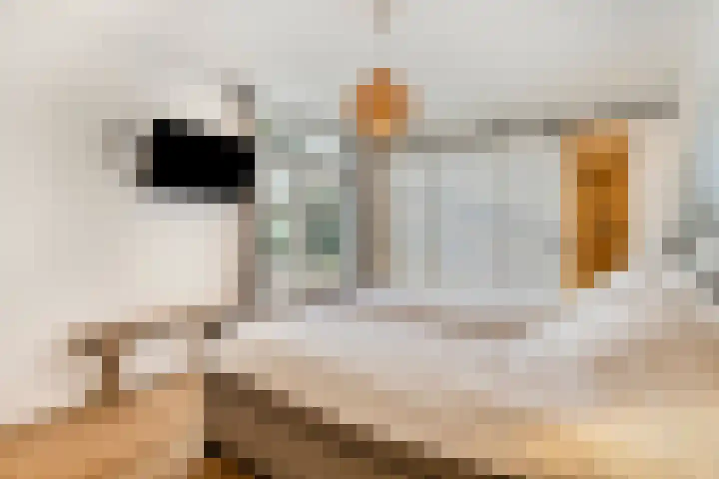 Stationstraat 65 Alphen thumbnail 42