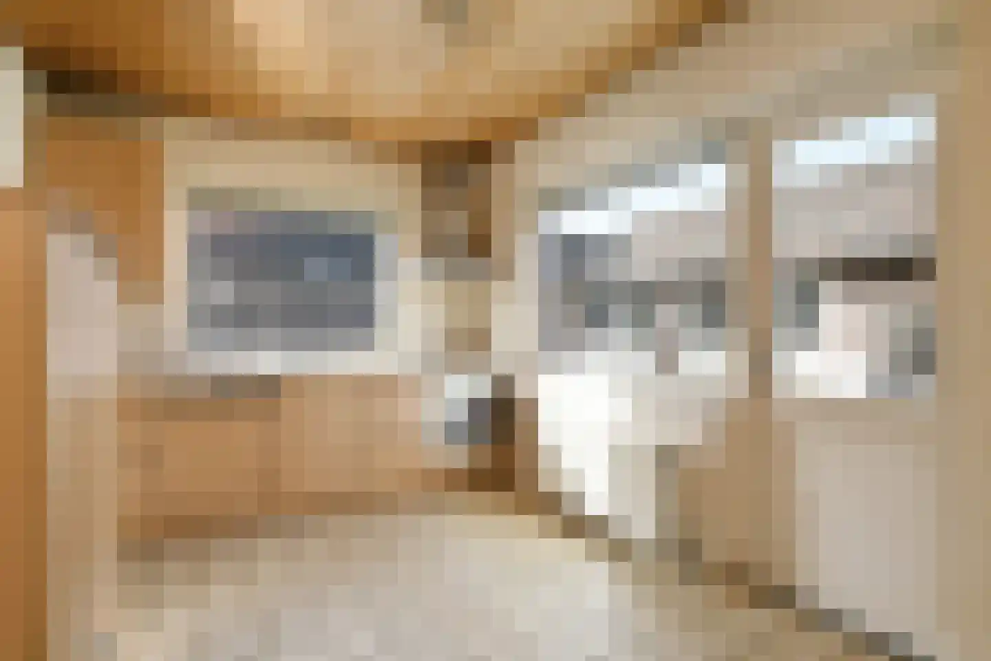 Stationstraat 7 Baexem thumbnail 12