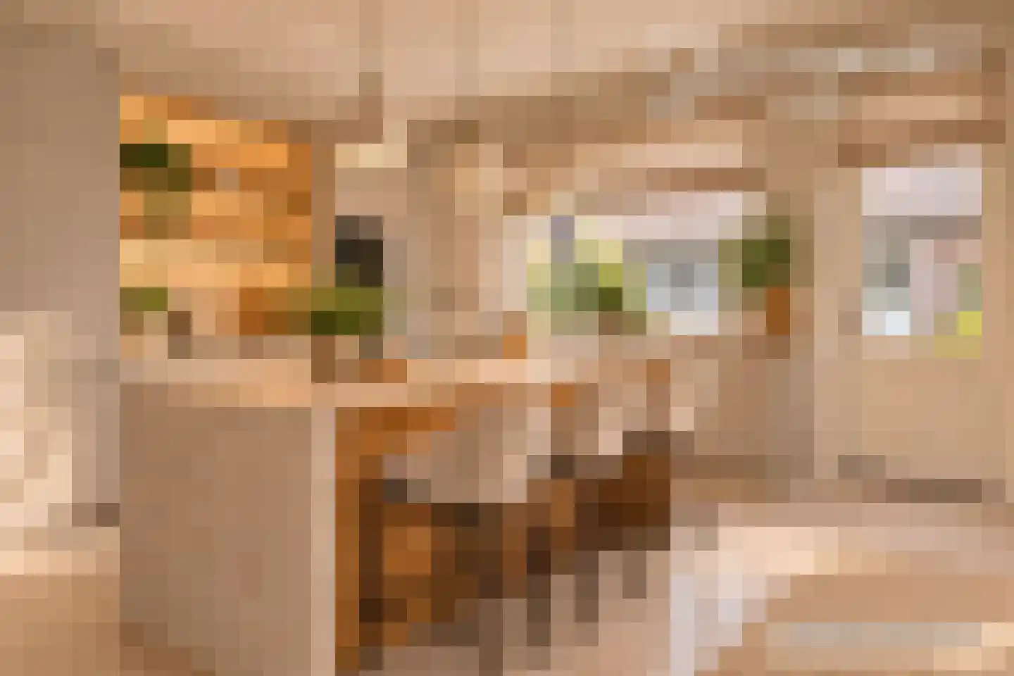 Stationstraat 7 Baexem thumbnail 14