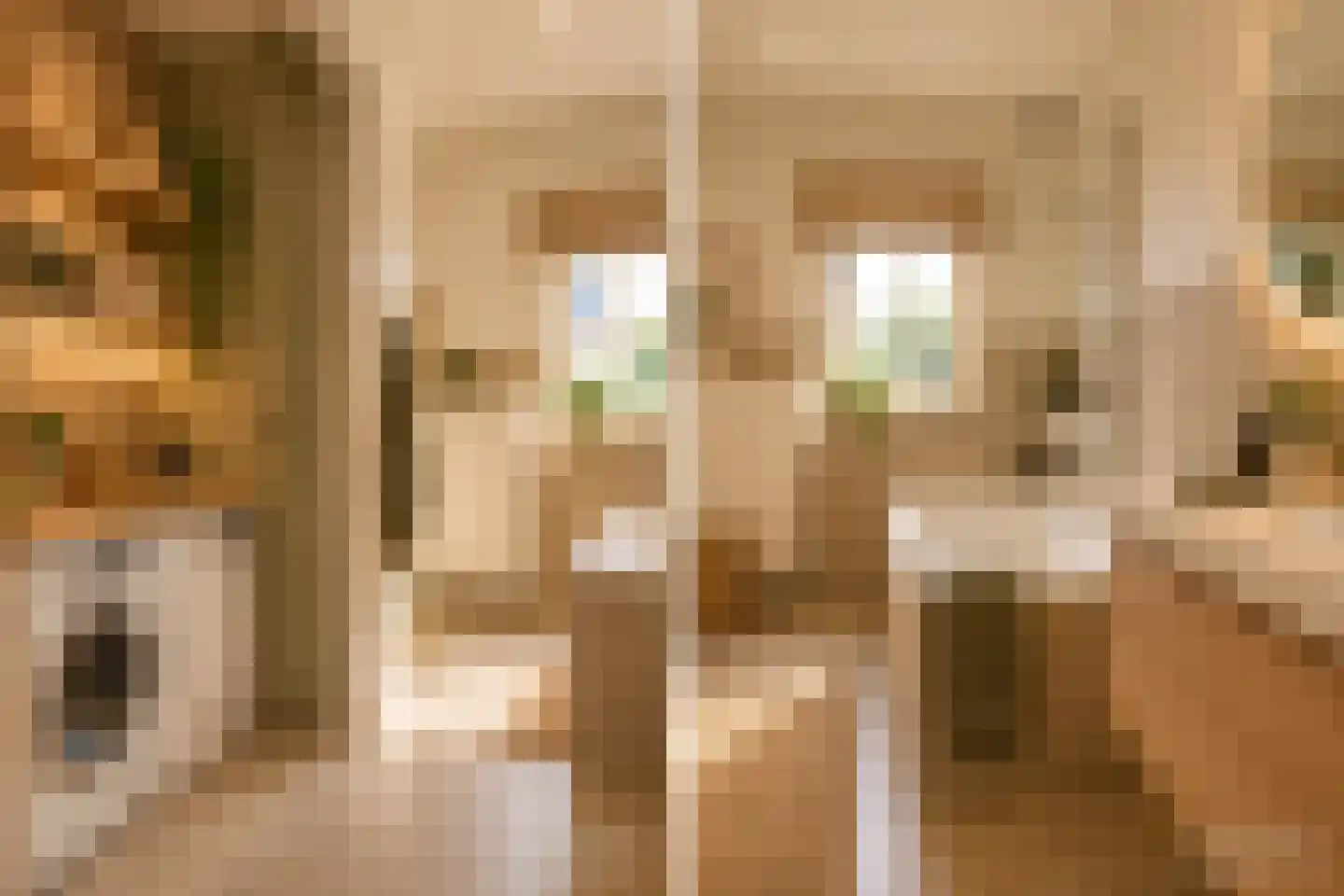 Stationstraat 7 Baexem thumbnail 33