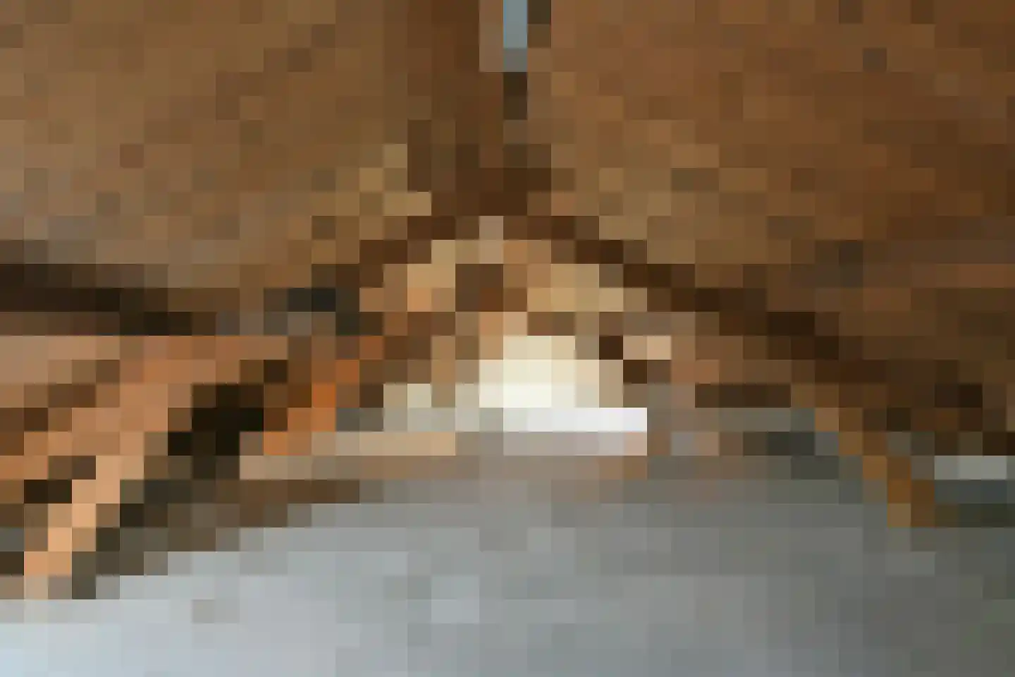 Stationstraat 7 Baexem thumbnail 34
