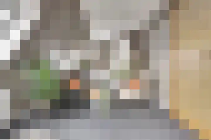 Stationsweg 1 b Culemborg thumbnail 32