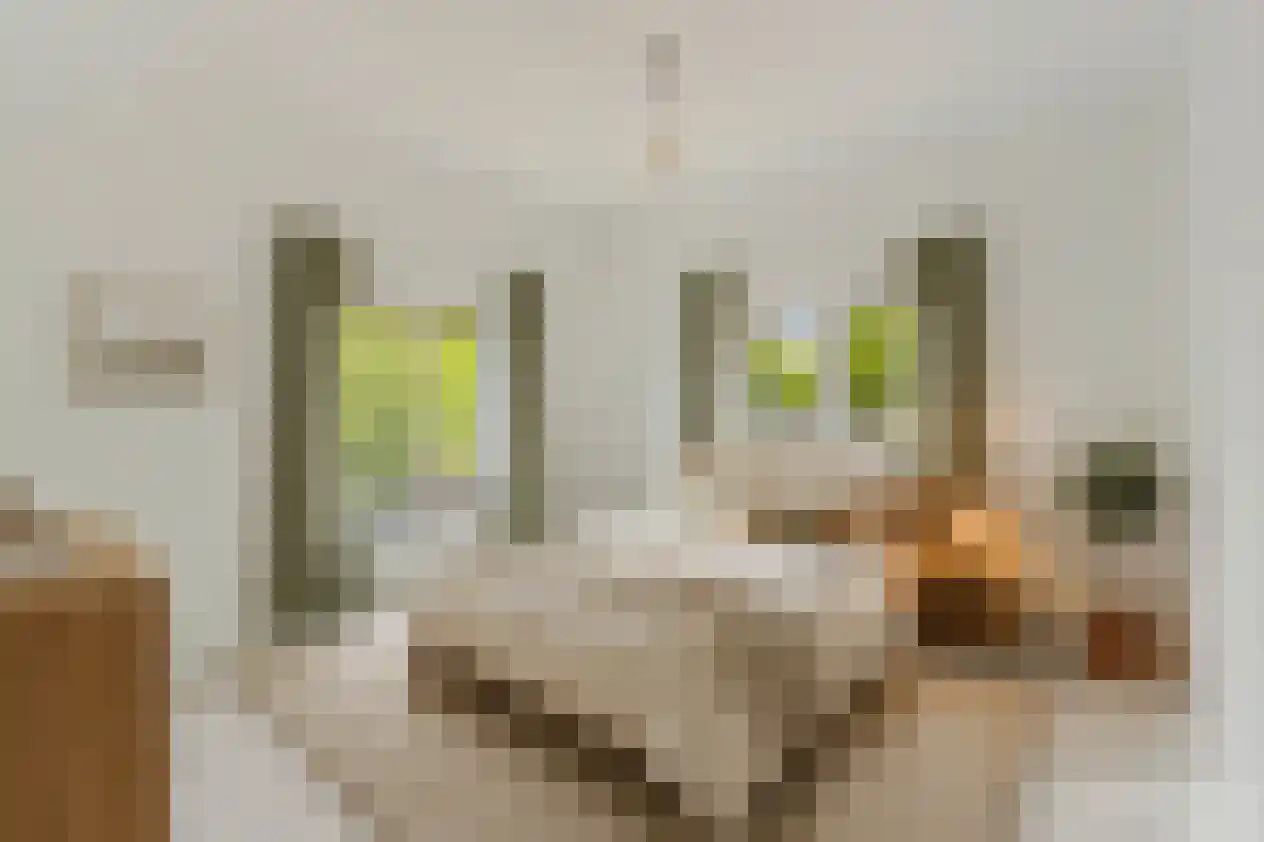 Stationsweg 1 B Venray thumbnail 25