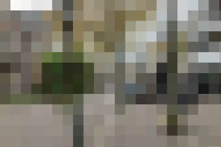 Stationsweg 1 Baarn thumbnail 53