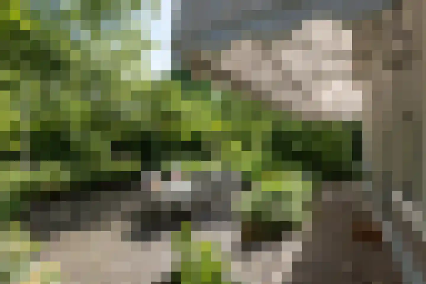 Stationsweg 1 Neede thumbnail 42