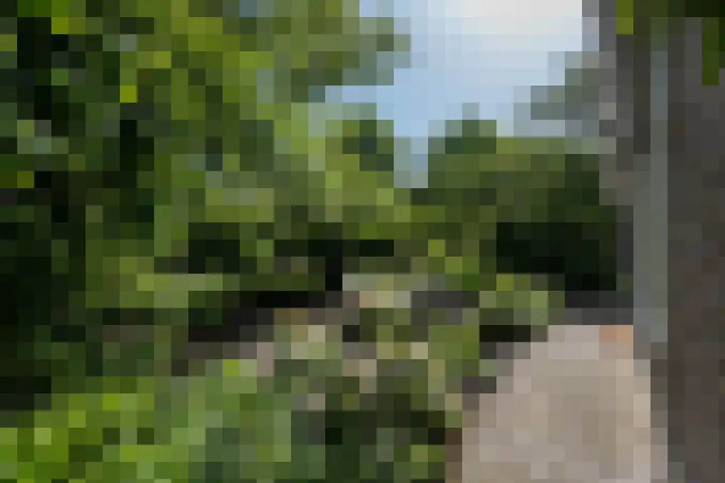 Stationsweg 1 Neede thumbnail 43