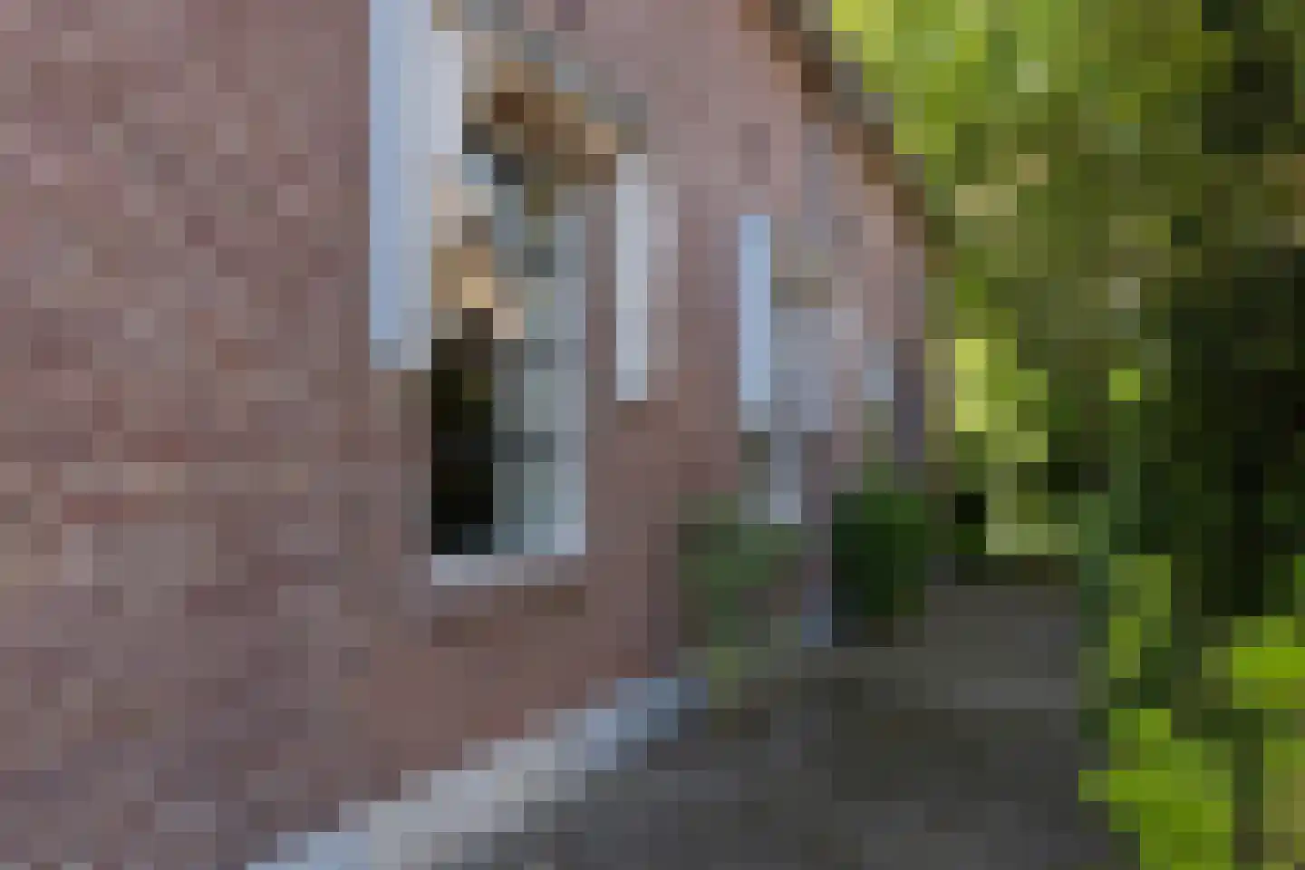 Stationsweg 1 Neede thumbnail 47